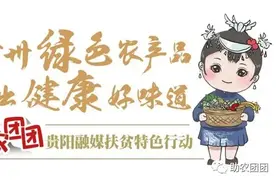 助农团团丨百宜苦蒜是个宝 眼下购买正当好图片