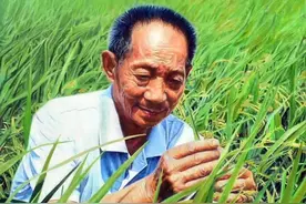 袁隆平院士走的这么突然，分析是摔跤导致可能性大图片