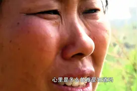 “太心寒”，大片玉米被拦腰砍断，已连续三年被毁，内鬼竟是至亲图片