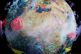 模拟整个地球：英伟达Earth-2超级计算机即将上线图片