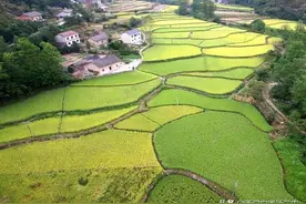 农村土地有偿永久性退出试点村，一亩承包地给3万，你愿意退吗？图片