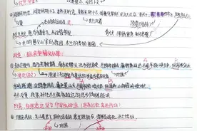 优秀笔记展示 ‖ 桃中学子的笔记棒极啦图片