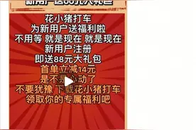 “花小猪”网约车涉嫌在南阳非法营运 交管部门：将协调相关单位查处图片
