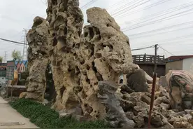 阴阳哲学探索系列之一百零五十八（以母与子为例）图片