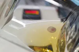 人造子宫：小鼠胚胎在玻璃瓶中正常发育，下一步是人类胚胎？图片