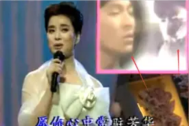 刘德华频繁上春晚的原因是什么图片