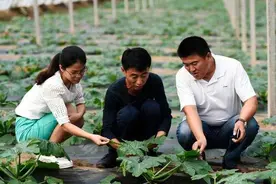 乡村振兴专员火了！不是公务员却属于铁饭碗，还有机会当乡镇领导图片