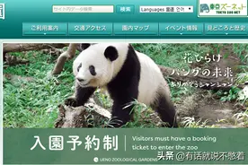 人见人爱的熊猫香香竟也无法阻止部分日本人的疯狂图片