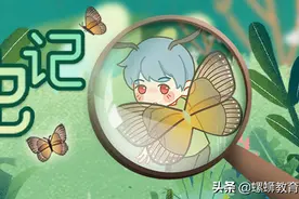 七升八的同学，让我们向法布尔致敬——拜读《昆虫记》图片
