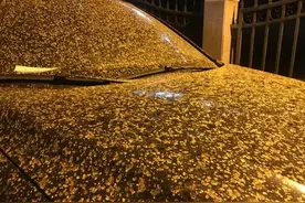 沙尘混合小雨，“北京下泥了”图片