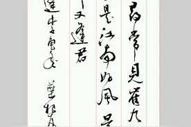 唐代诗人杜甫的诗被称为“诗史”，点评一下叶根友写的版本吧图片
