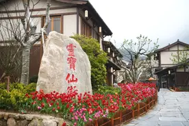 铅山葛仙村度假区2月23日起恢复开放，千株梅花开待君来！图片