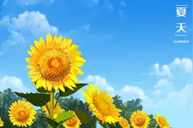 夏季难免破皮伤肉，怎么做能不留疤？｜悠然度夏①图片