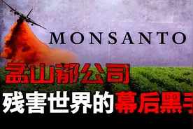 研发生化武器，控制我国转基因食品市场，孟山都的罪恶图片