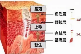 为什么要去角质？如何选择正确的方法去角质？图片