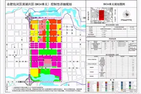 滨湖省府规划重大调整！3976亩住宅地，中轴爆出大量商服地图片