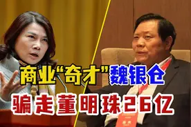 银隆创始人魏银仓：卷走董明珠26亿逃美国，王健林刘强东皆被牵连图片