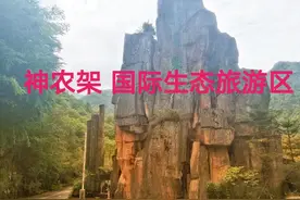 神农架景区范围大、景点多，想玩多久都行，这里都是干货图片
