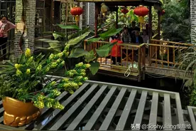 当你和广州人说鹅城不是一座城，老饕们秒懂图片