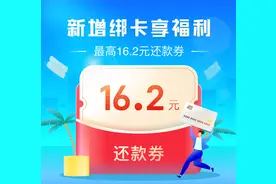 16.2元还卡金白捡图片