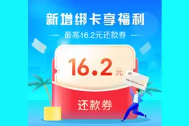 16.2元还卡金白捡图片