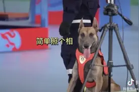最近的快乐都是二驴给的图片
