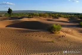 生命的奇迹，毛乌素沙漠即将从陕西的版图上消失图片