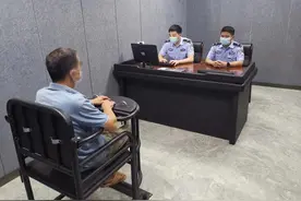 请您看过来！来自头顶上的“危险”图片