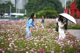 花儿为什么这样红②｜幸福滋味，就在朵朵小花中图片