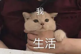 “买了两套房后，我抑郁了”图片