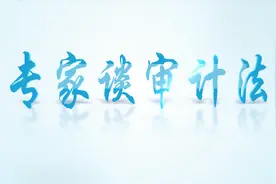 [专家谈审计法]黄薇：完善审计监督制度 规范和保障审计机关依法履行职责图片