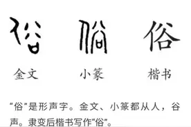 俗到底是什么图片