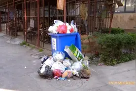 “垃圾桶都装不下了！”小区垃圾多日无人清运，市民担心影响健康图片