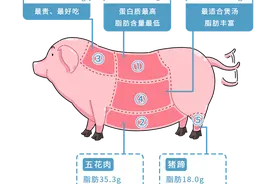 买猪肉时如何挑选，才能避开僵尸肉、瘦肉精？提前看几个地方图片