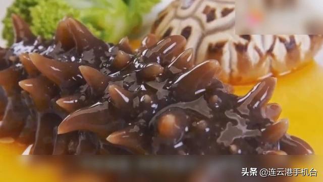 怀孕可以天天吃海参花胶吗 2026年怀孕可以天天吃海参花胶吗
