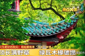 期待！爱晚亭18年后“再闭关”！湖大教授主持修缮：这些地方都要变图片