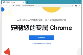 Google Chrome 81.0.4044.113 发布图片