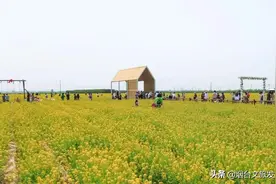 有奖投票｜烟台十大赏花地评选活动开始啦，快来选出你的最爱图片