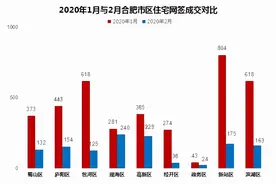 2月合肥均价1.74万/㎡九区“六涨三跌”新房成交TOP20出炉图片