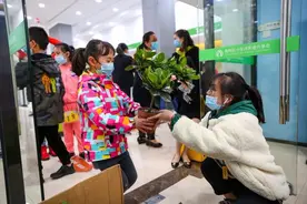做DIY环保花盆，把绿植带回家，把环保的种子在心里种下图片