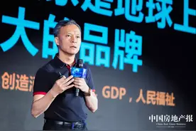 徐浩宇：房地产行业也在一定程度上承载国家品牌作用图片