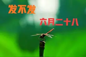 “发不发，就看六月二十八”，啥意思？今年立秋之后还热吗？图片