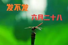 “发不发，就看六月二十八”，啥意思？今年立秋之后还热吗？图片