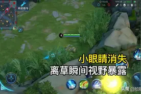 “不可选中+视野关闭”，赵云大招究竟隐藏了多少细节？图片