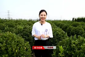 偃师区！美了！富了图片