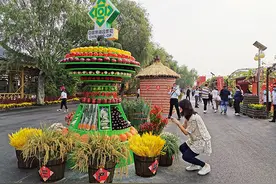 宝坻宝地庆丰年！2020年天津市“中国农民丰收节”开幕图片