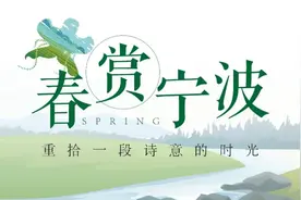 春赏宁波系列⑦ | 这些连绵起伏的茶海，才是宁波春天的涟漪图片