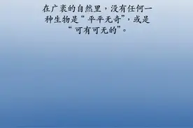 “吔屎啦你！”“好哦~”图片
