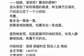 盘点四本古色古香的小说，推看《嫁金钗》，笑看古板禁欲男主打脸图片