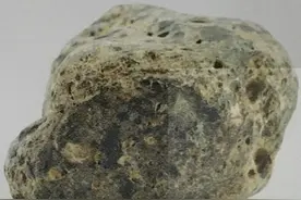 此物只应天上有,人间难得几回闻。速看图片